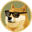 Doge 2.0LOGO